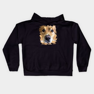 Golden Retriever Face Golden Retriever Dog Lover Kids Hoodie